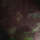 Image for article titled The five strangest theories about Sasquatch